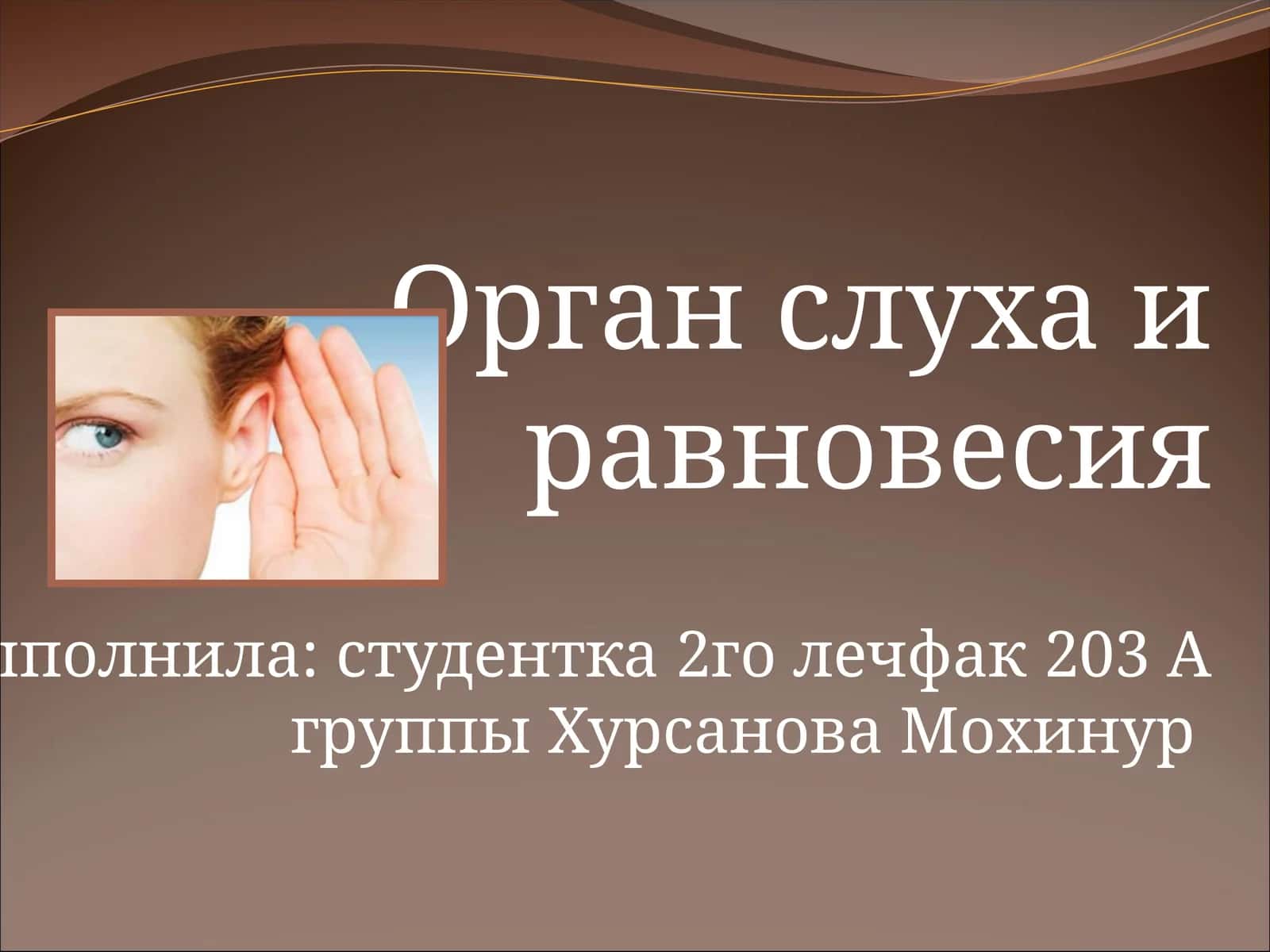 Орган слуха и равновесия 1