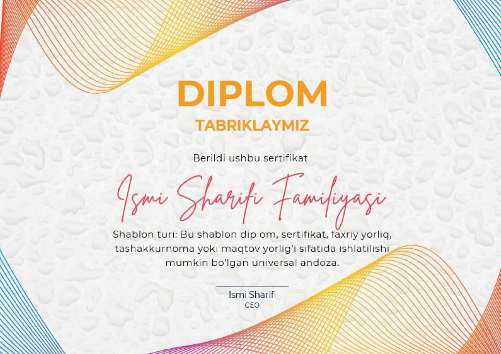 DIPLOM 1