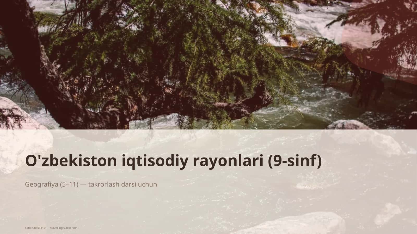 O'zbekiston iqtisodiy rayonlari (9-sinf) 1