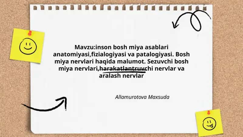 Inson bosh miya asablari anatomiyasi, fizialogiyasi va patalogiyasi 1