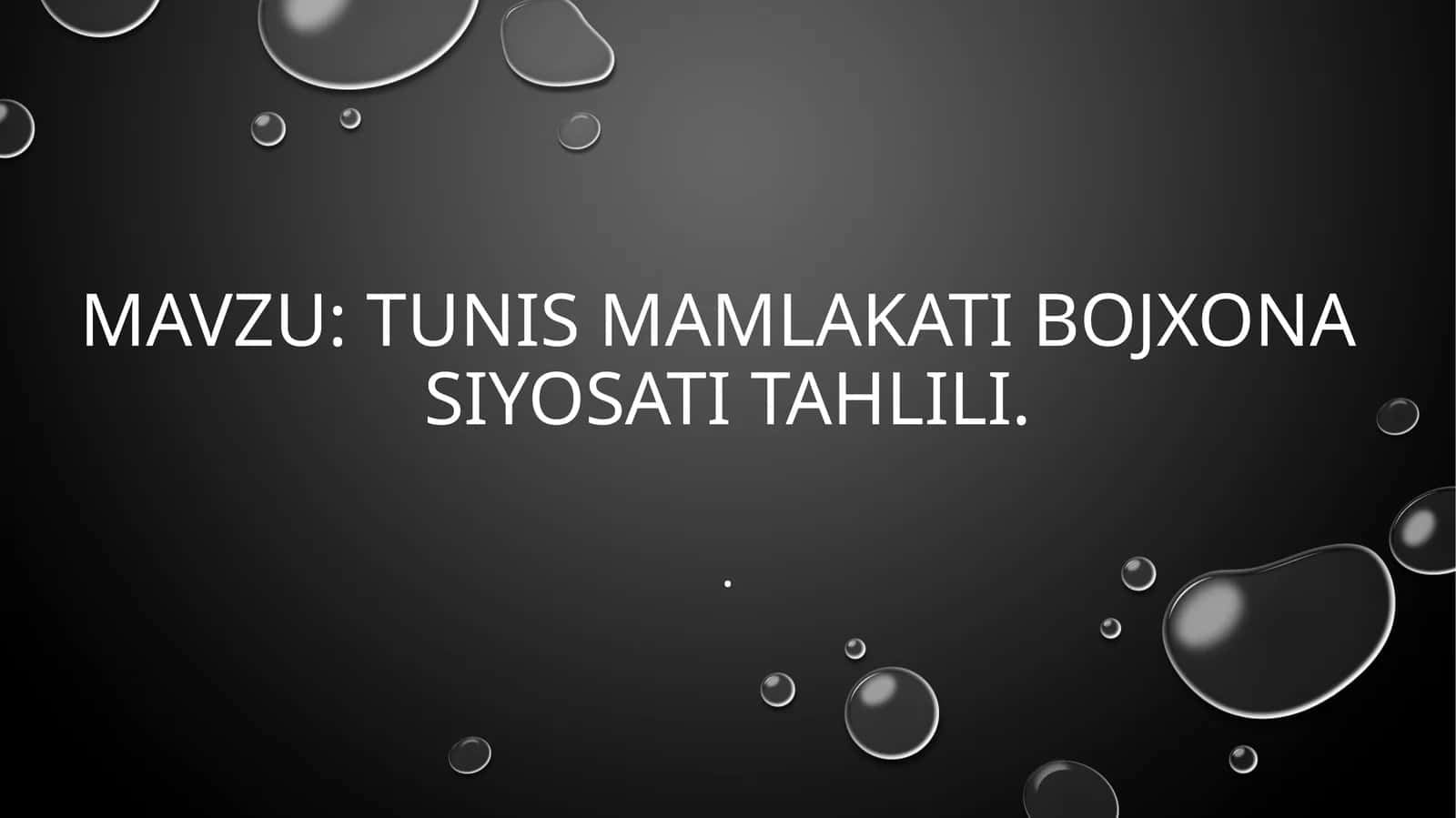 TUNIS mamlakati bojxona  siyosati tahlili 1