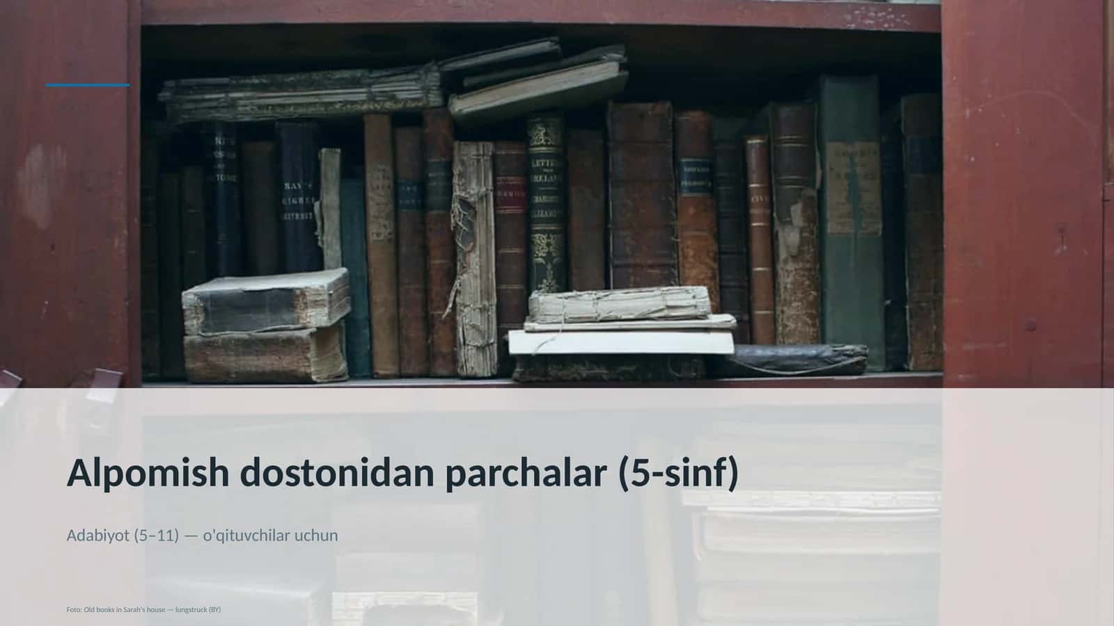 Alpomish dostonidan parchalar (5-sinf) 1