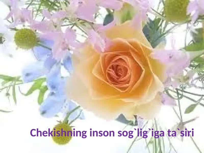 Chekishninginsonsog`lig`igata`siri 1