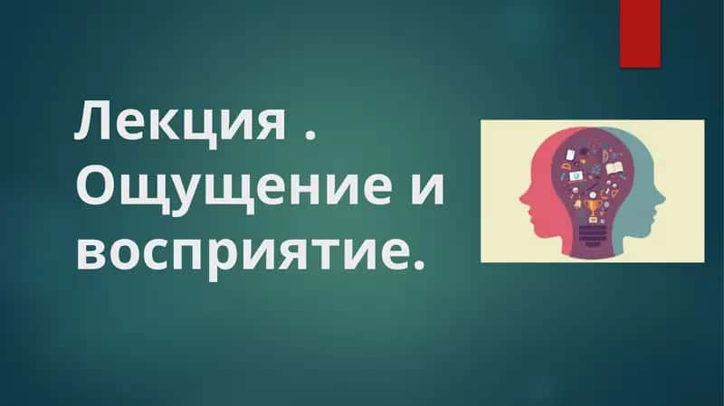 Лекция Ощущение и восприятие 1
