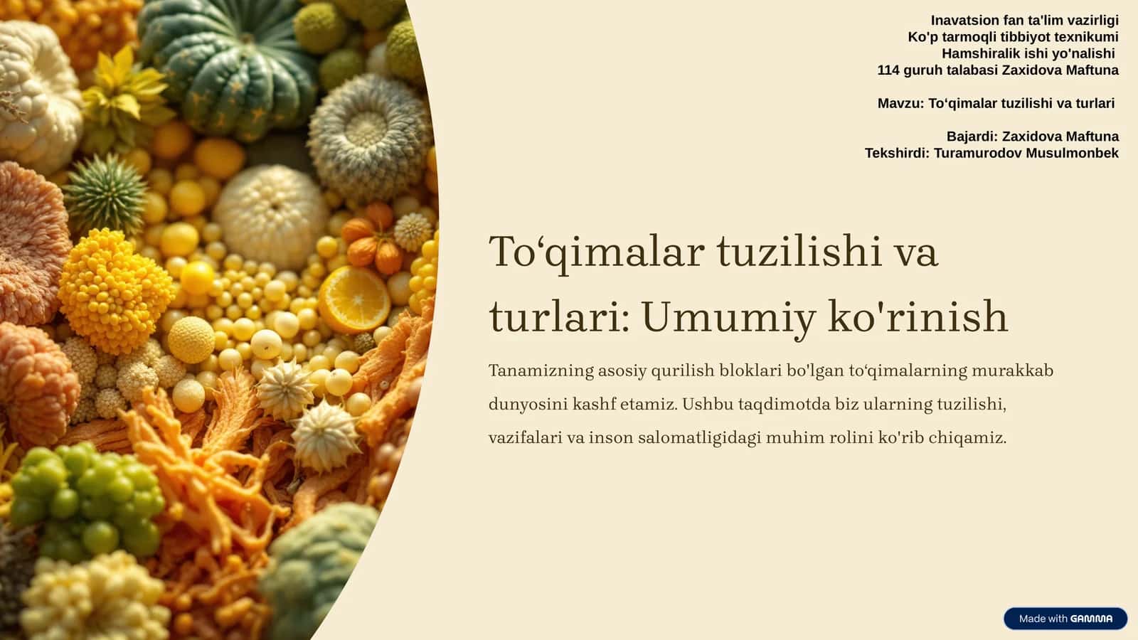 Toʻqimalar tuzilishi va turlari 1
