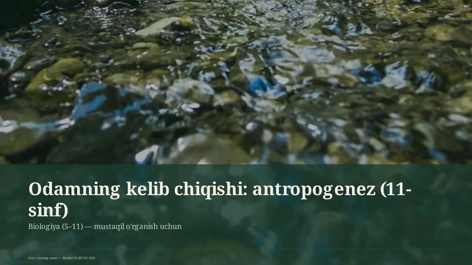 Odamning kelib chiqishi: antropogenez (11-sinf) 1