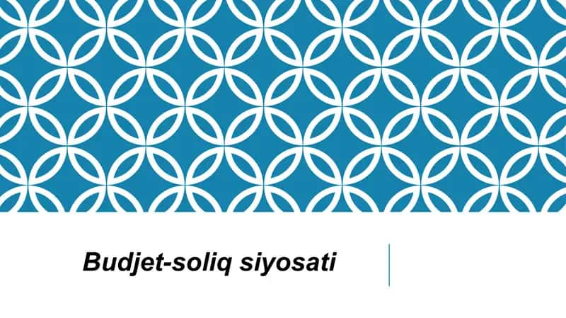 Budjet-soliqsiyosati 1
