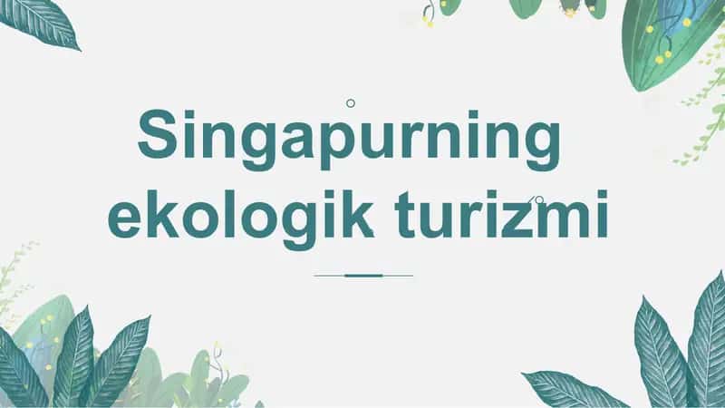 Singapur hayvonot bog'i 1
