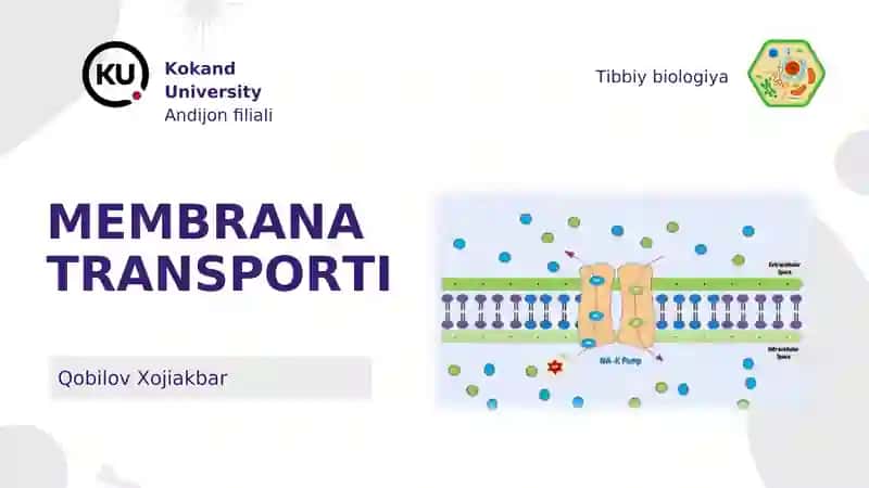 MEMBRANA TRANSPORTI 1