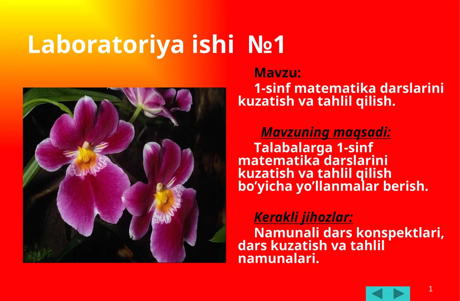 1-sinf matematikadarslarinikuzatishvatahlilqilish 1