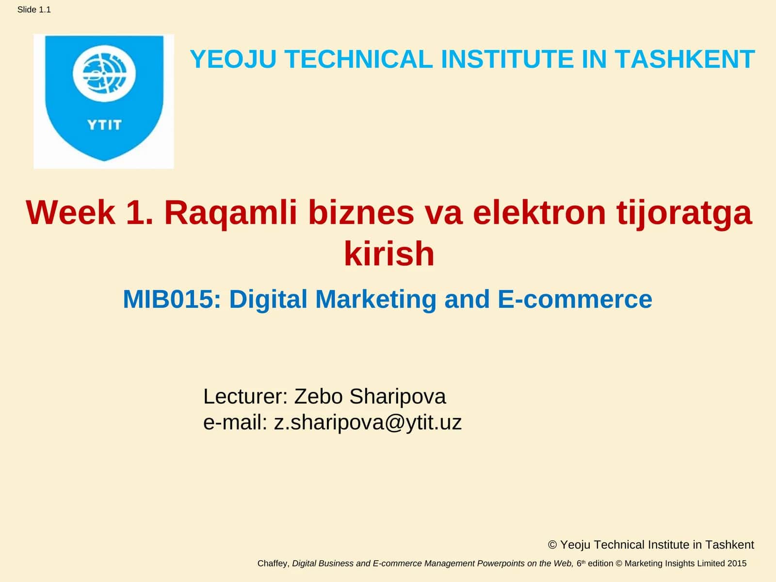 MIB015: Digital Marketing and E-commerce 1