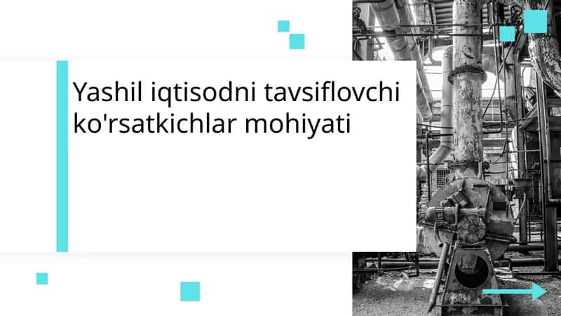 Yashil iqtisodni tavsiflovchi ko'rsatkichlar mohiyati 1