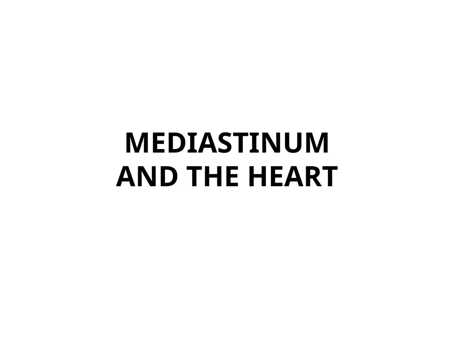 MEDIASINUMDAN QALB 1