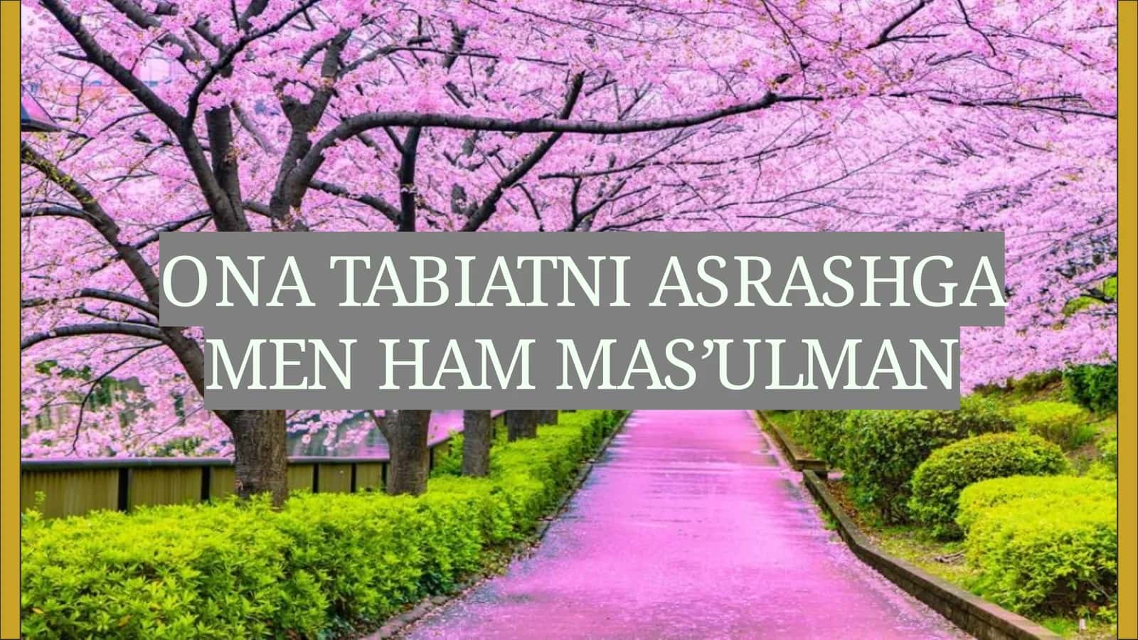 ONA TABIATNI ASRASHGA MEN HAM MA'SULMAN 1