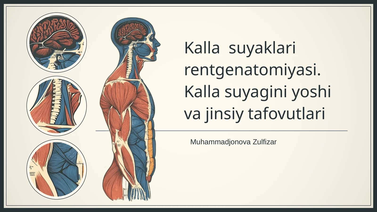 Kalla suyaklari rentgenatomiyasi 1
