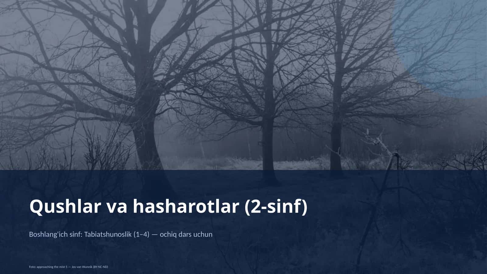 Qushlar va hasharotlar (2-sinf) 1