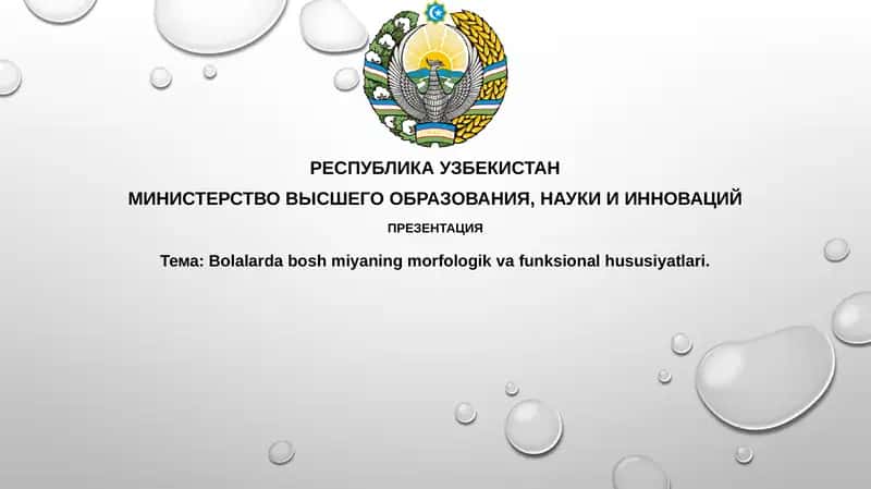 Bolalarda boshmiyaning morfologik va funksional hususiyatlari 1