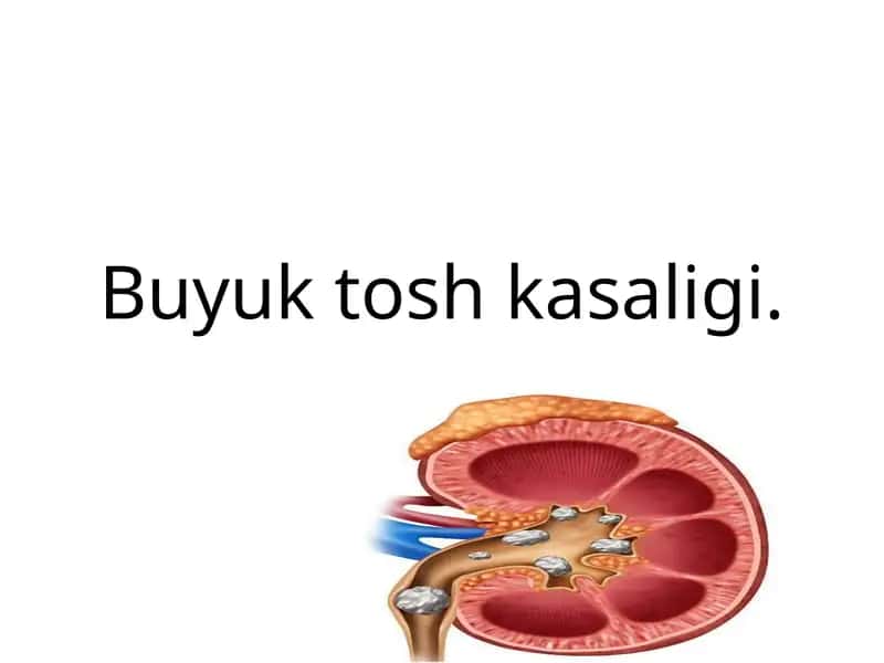 Buyuktoshkasaligi 1