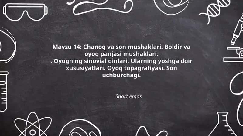 Chanoq va son mushaklari 1