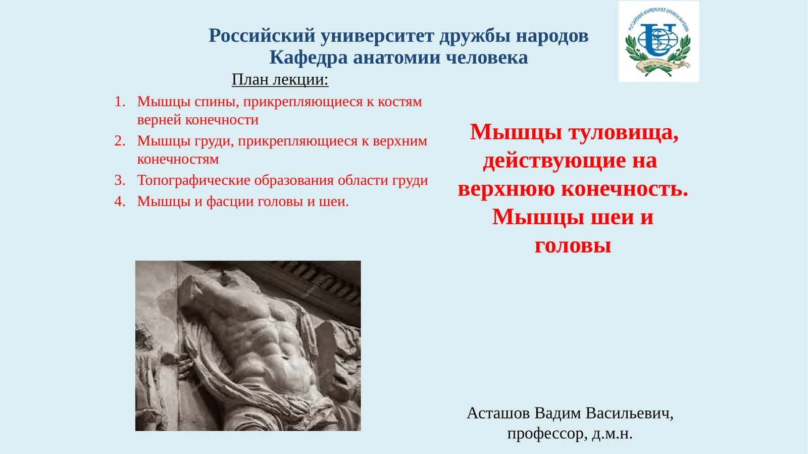 Мышцы туловища, действующие на верхнюю конечность. Мышцы шеи и головы 1