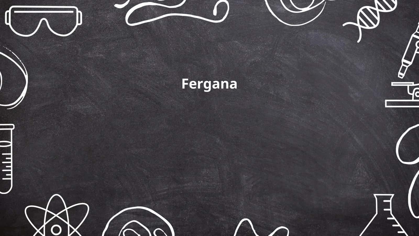 Fergana History 1