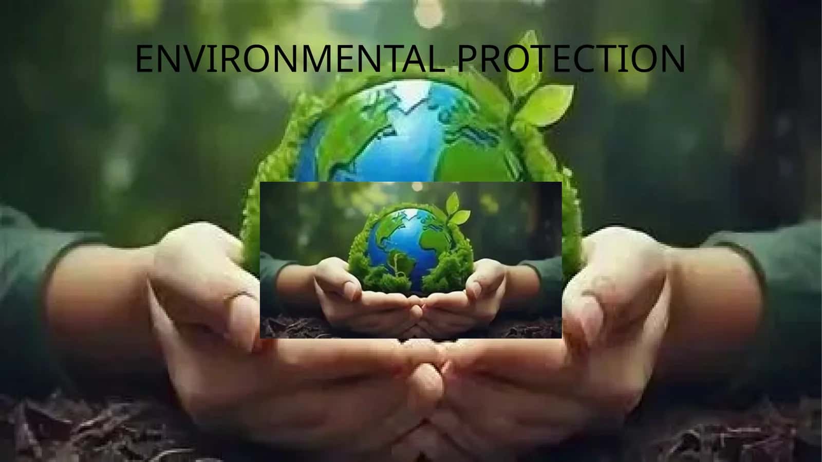 ENVIRONMENTAL PROTECTION 1
