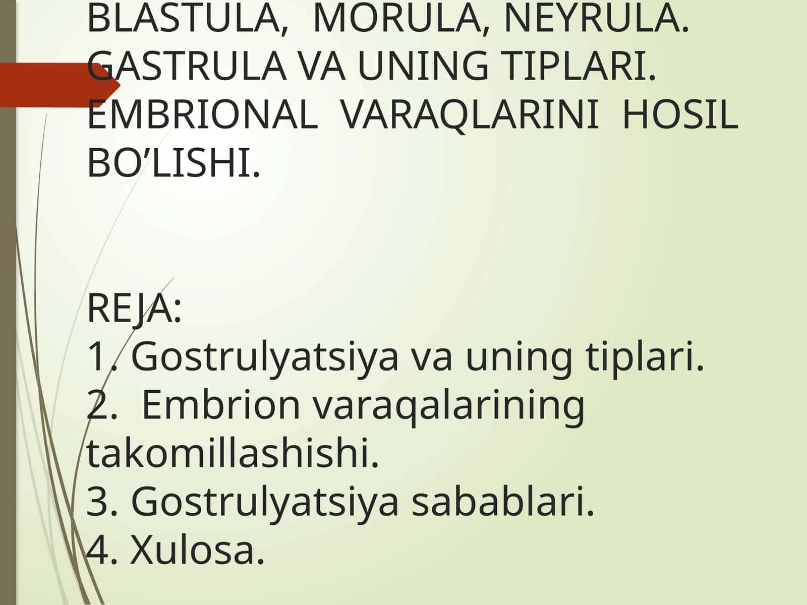 IMPLANTATSIYA. MAYDALANISH. BLASTULA, MORULA, NEYRULA. GASTRULA VA UNING TIPLARI. EMBRIONAL VARAQLARINI HOSIL BO’LISHI 1