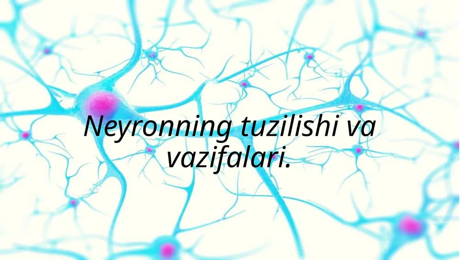 Neyronning tuzilishi va vazifalari 1