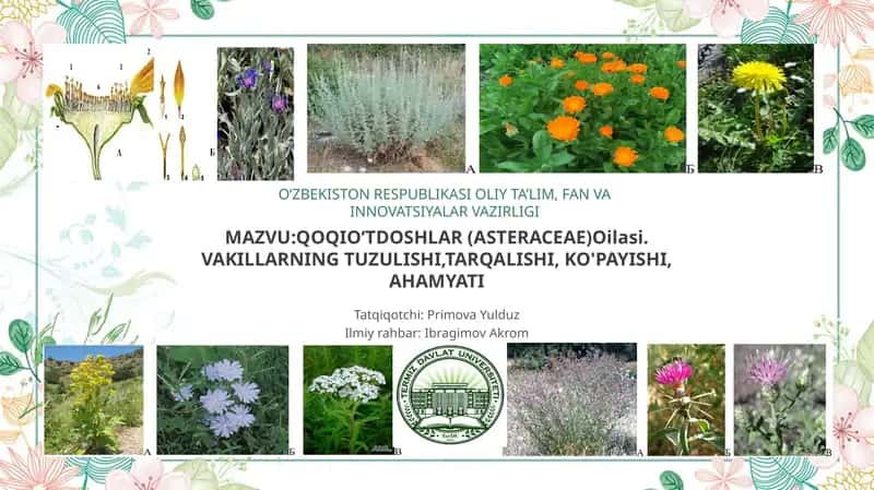 Qoqioʻtdoshlar (Asteraceae) 1