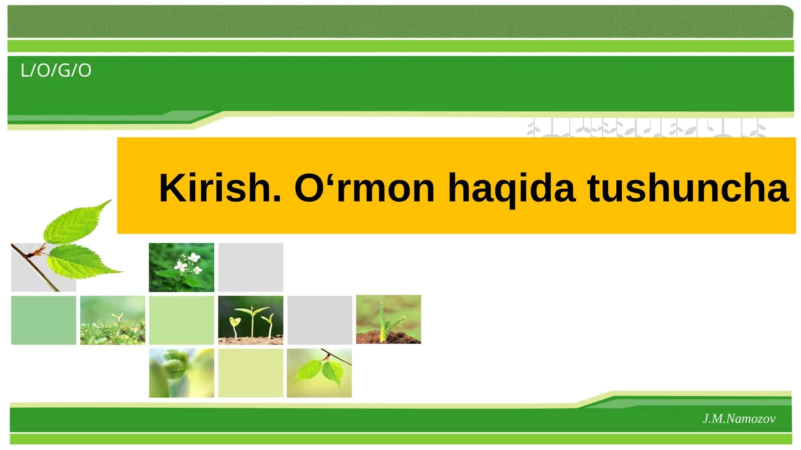 О‘rmonchilik (amaliy mashg‘ulotlarni о‘tkazish uchun о‘quv qо‘llanma) 1