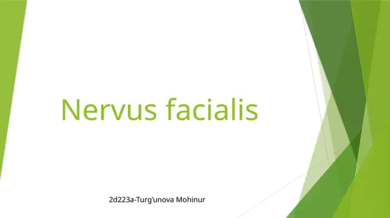 nervus fascialis 1