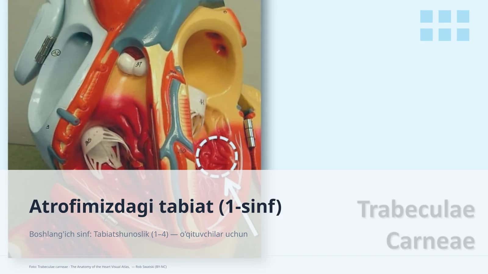 Atrofimizdagi tabiat (1-sinf) 1