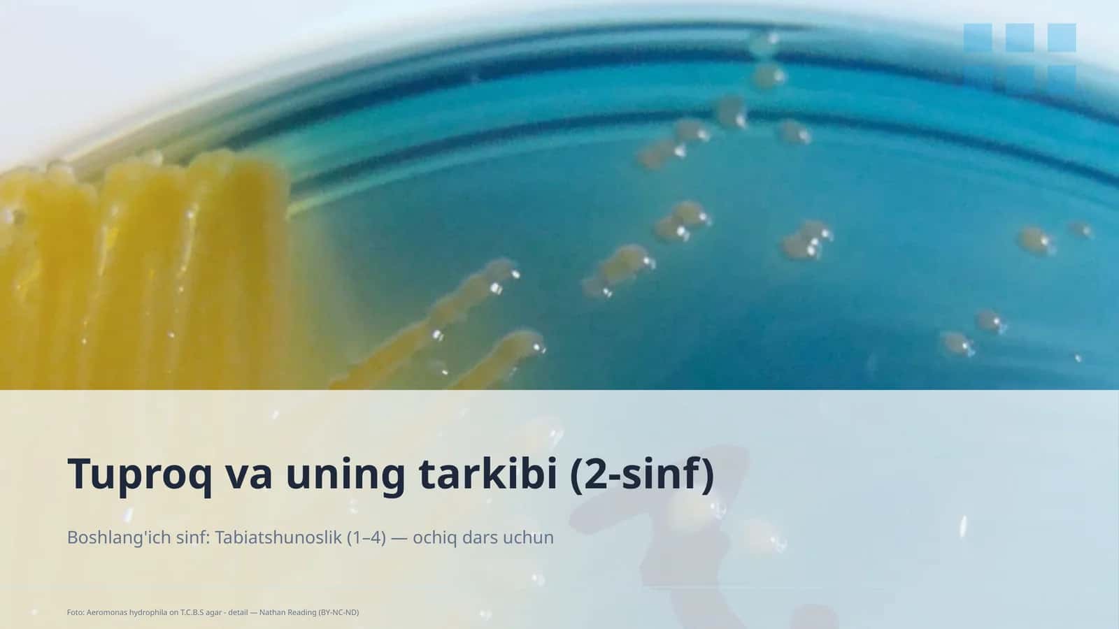 Tuproq va uning tarkibi (2-sinf) 1