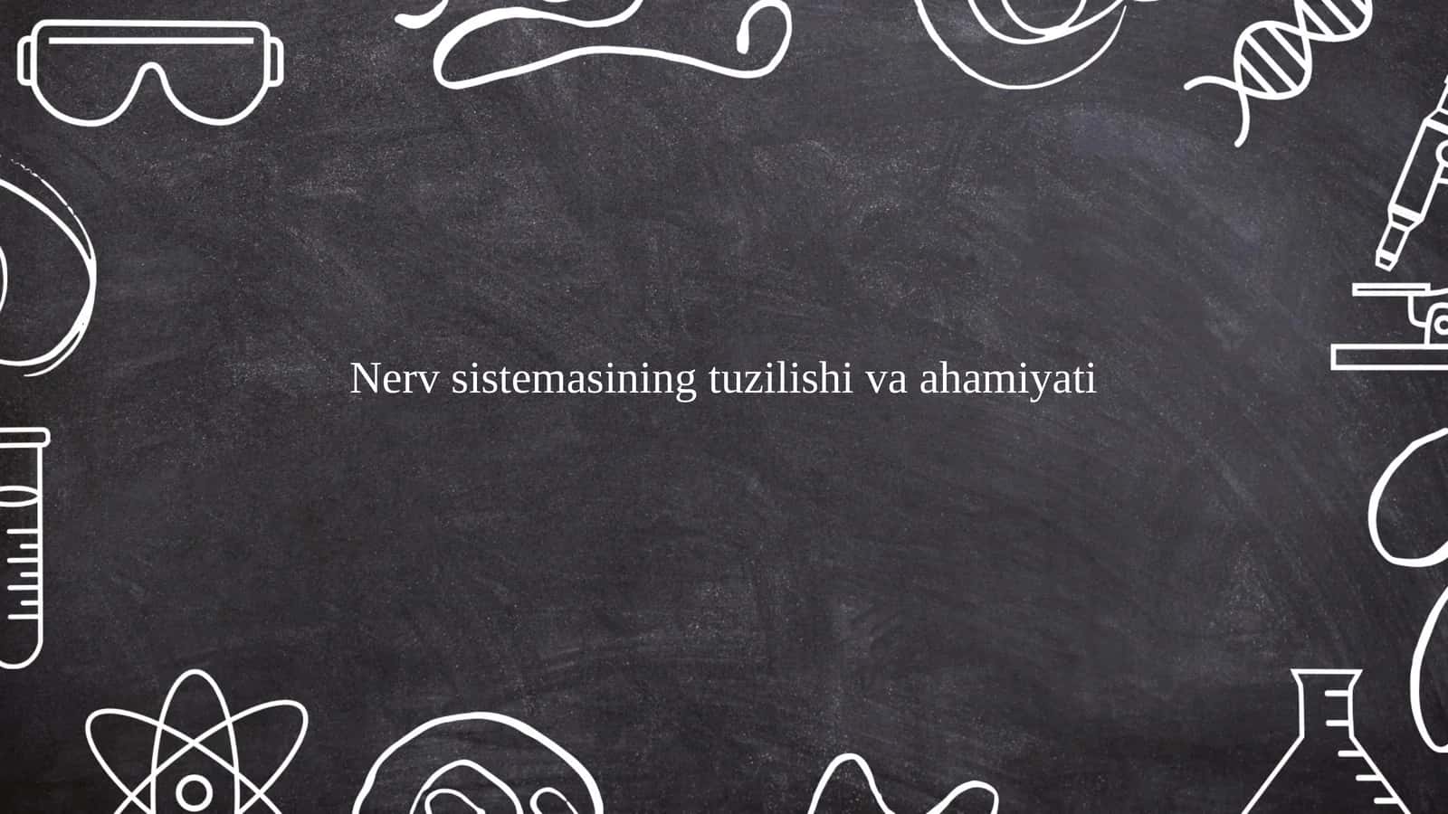 Nerv sistemasining tuzilishi markaziy nerv sestemasi 1