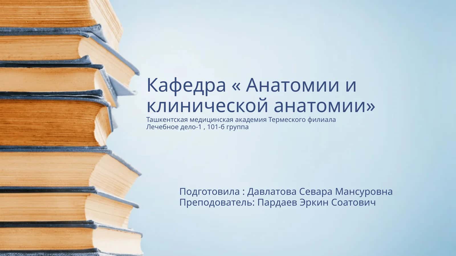 Костный мозг: развитие, строение, функции. Красный костный мозг, желтый костный мозг 1
