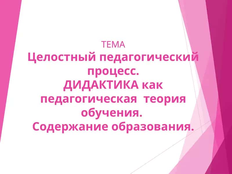 Теория образования (дидактика) 1