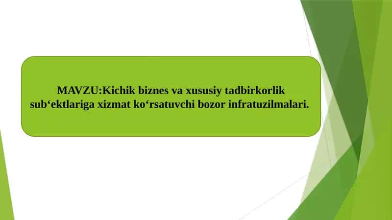 Kichik biznes va xususiy tadbirkorlik subyektlariga xizmat ko'rsatuvchi bozor infratuzilmalari 1
