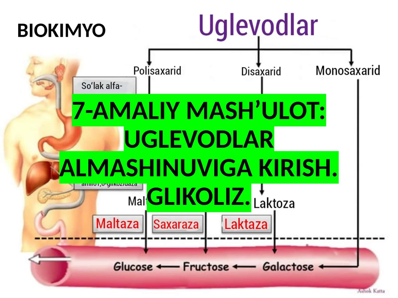 7-AMALIY MASH’ULOT: UGLEVODLAR ALMASHINUVIGA 1