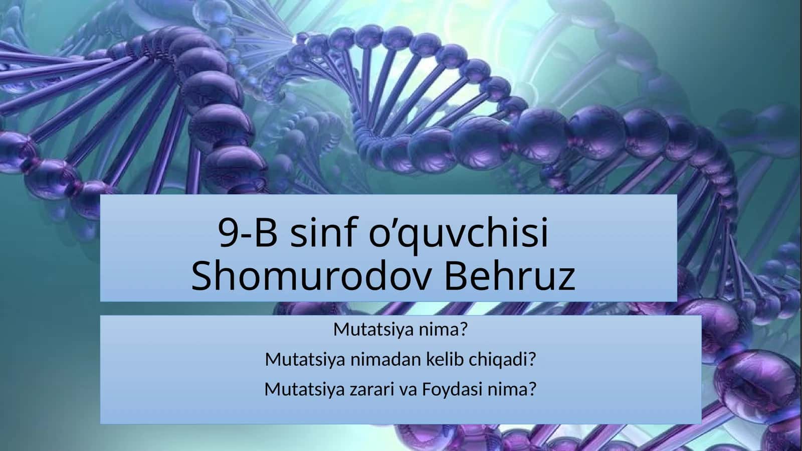 9-Bsinfo’quvchisiShomurodovBehruz 1