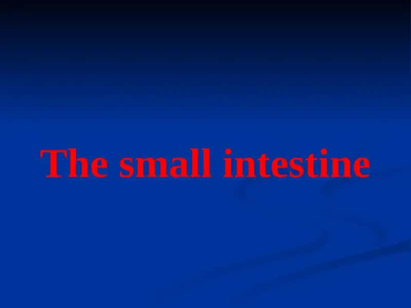 The small intestine 1