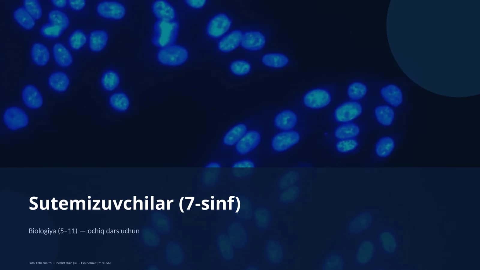 Sutemizuvchilar (7-sinf) 1