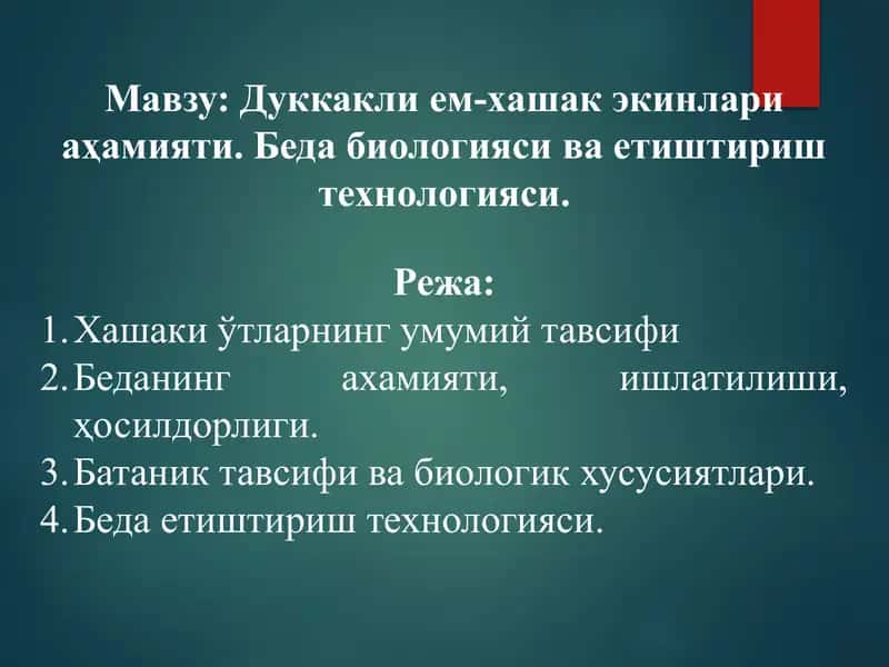 Дуккаклием-хашак экинлари аҳамияти 1