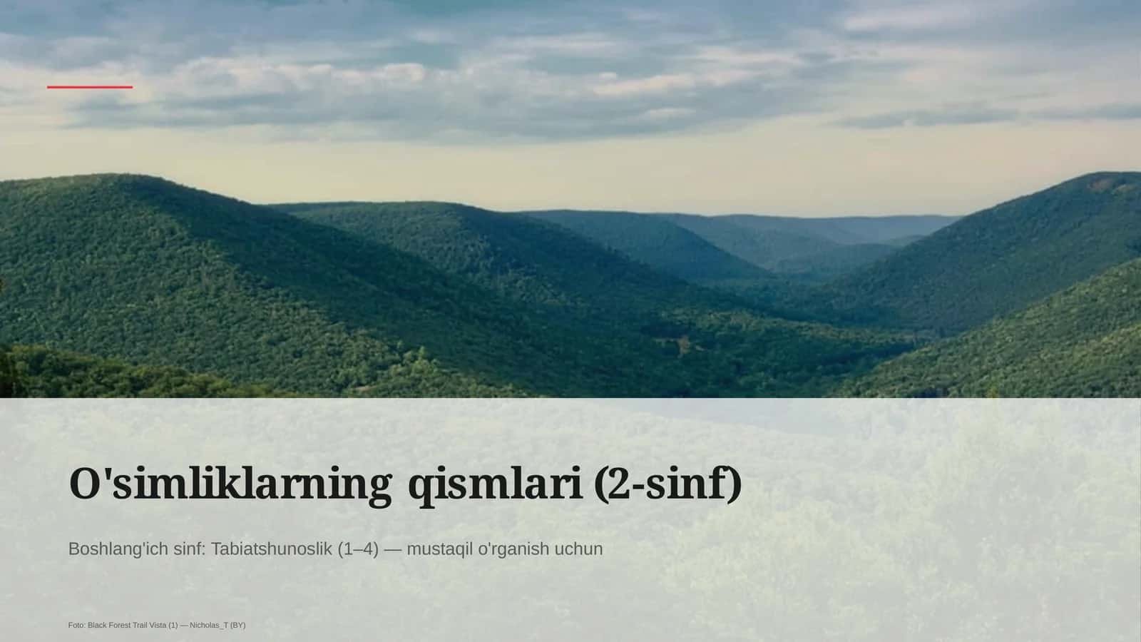 O'simliklarning qismlari (2-sinf) 1