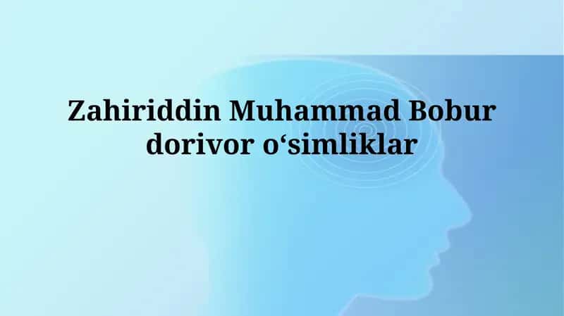 Zahiriddin Muhammad Boburdorivoroʻsimliklar 1