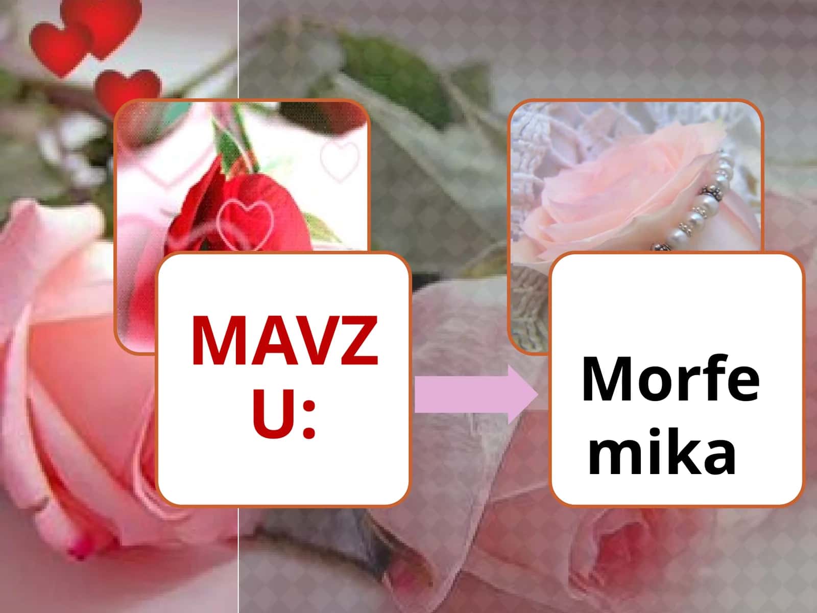 Morfemika 1