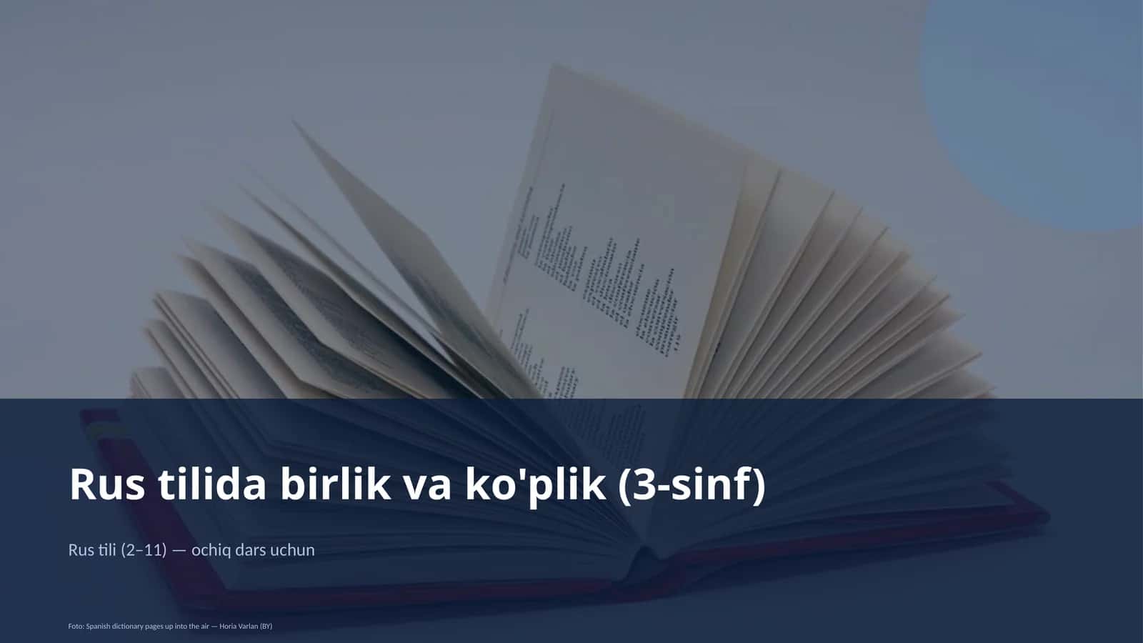 Rus tilida birlik va ko'plik (3-sinf) 1
