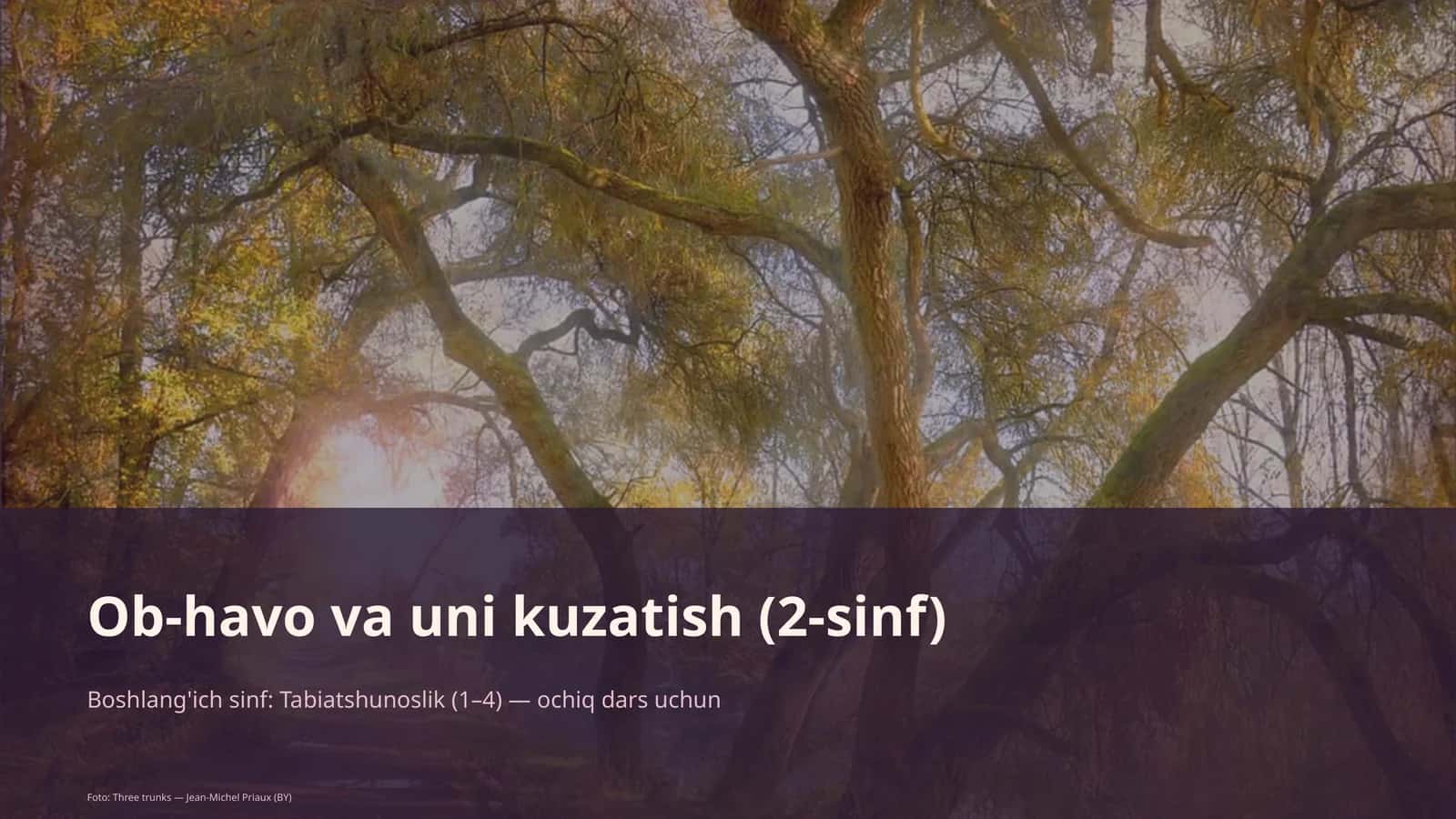 Ob-havo va uni kuzatish (2-sinf) 1