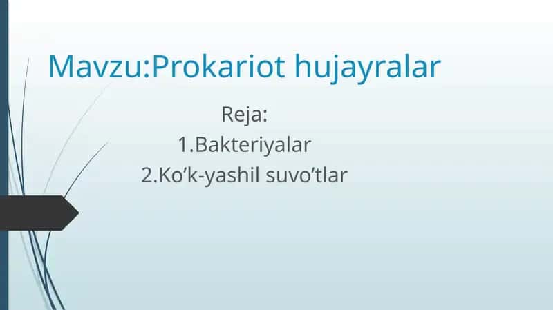 Prokariothujayralar 1