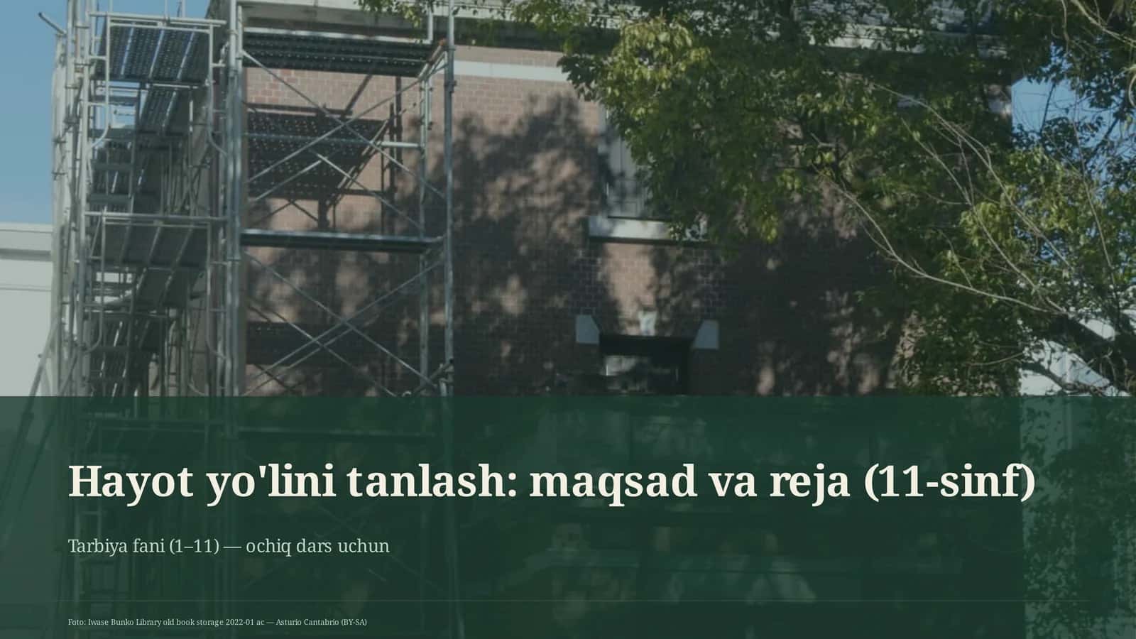 Hayot yo'lini tanlash: maqsad va reja (11-sinf) 1
