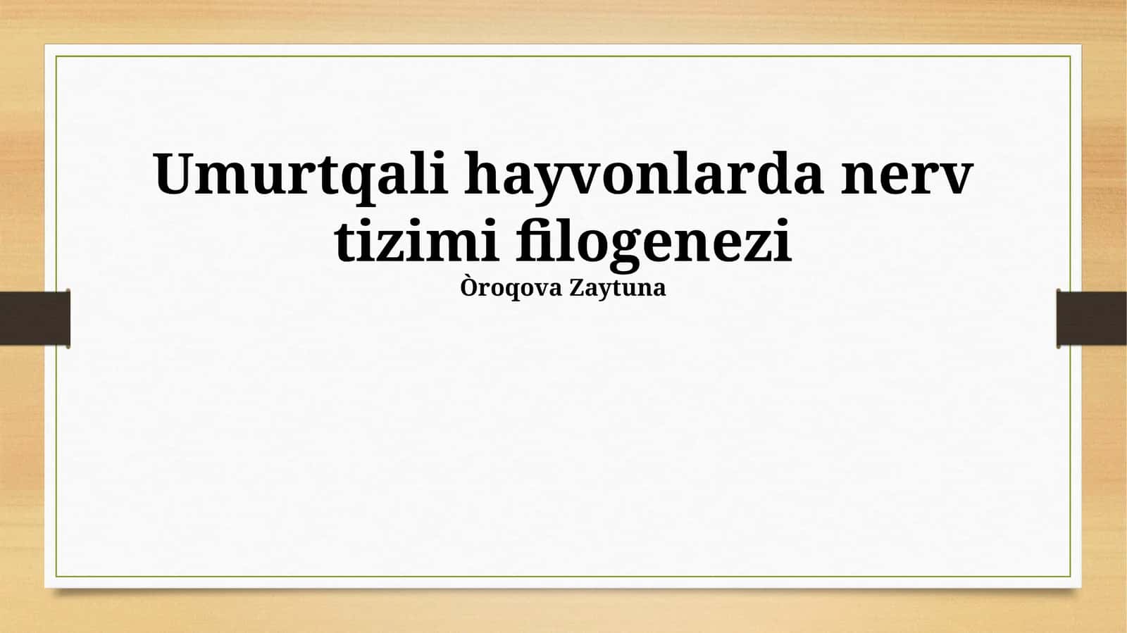 Umurtqali hayvonlarda nerv tizimi filogenezi 1